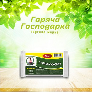 Губки кухонні для миття посуду ТМ Гаряча Господарка 9,0х6,0х3,0 см 5 шт (4820206610454)