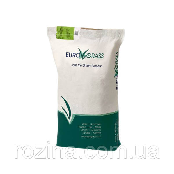 Газонна трава Декоративний газон Euro Grass