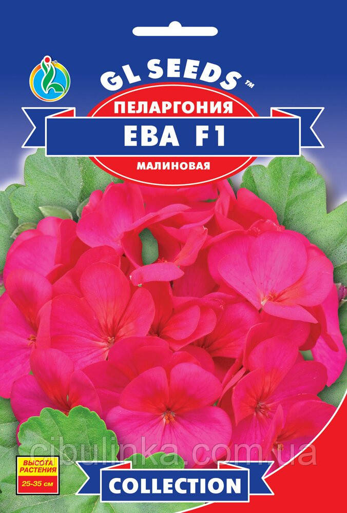 GL seeds Насіння Пеларгонія (Зональна) ЕВА. 5 шт.