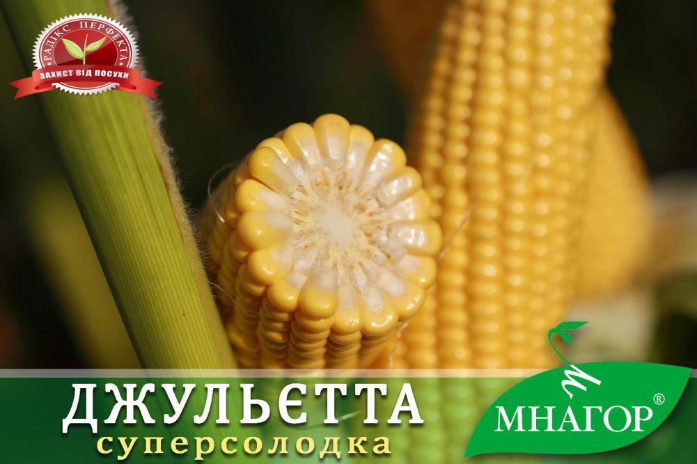 ТМ МНАГОР Кукурудза цукрова Джульєтта F1 200шт