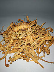 Кордицепс мілітарис (Cordyceps militaris), сушений цілий, 100 гр
