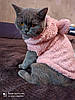Кофта, толстовка "Вуханка" для собаки, кішки. Одяг для собак, фото 11