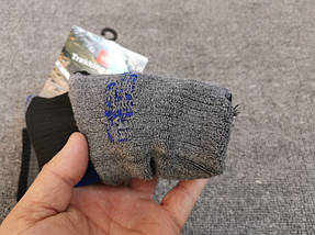 Трекінгові термо шкарпетки The North Face Trakking (41-44) Coolmax, фото 2