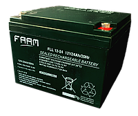 Аккумуляторная батарея FAAM серии FLL12-24