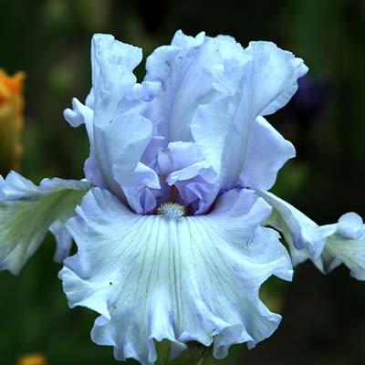 Эрик ақша үшін секс