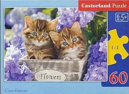 Іграшка Пазли 60 Мікс, 32 х 23 см В-06 Castorland