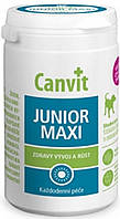 Can53373 Сanvit Junior Maxi for dogs, 76 шт