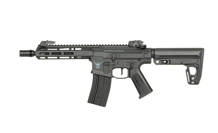 Модель AR-15 M904E Fire Control System Edition [DE] (для страйкболу), фото 1