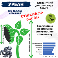 Насіння соняшника гібрид Урбан ОR 7, 1 п.о. 150 000 насінин