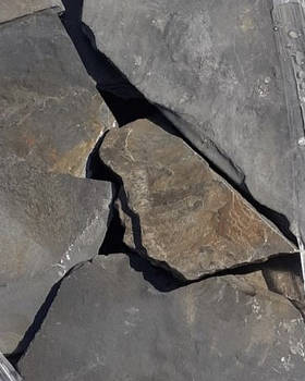 Ардезія пластушка