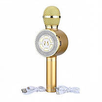 Дитячий мікрофон з функцією караоке Usb, microSD, Aux, Bluetooth Wster WS-669 Золотий 184025, фото 2