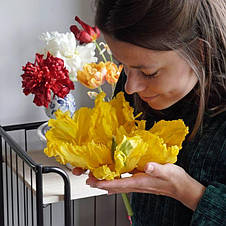 Тюльпан папуговий Jan van Nes Parrot (Ян Ван Нес Перрот) 3 цибулини, фото 2