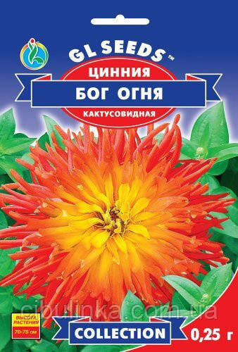 Цинія (майори) Бог Вогню GL Seeds 0,25 г, фото 1