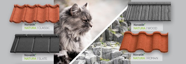 novatik_natura_vidy novatik_natura_vidy