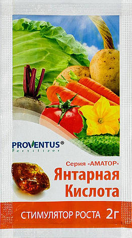 Бурштинова кислота 2 м Провентус, фото 1