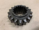 Шестерня скользяща 1-ї передачі і заднього хода КПП МТЗ (z=17) (вир-во ТМ JUBANA) (50-1701212-А), фото 2