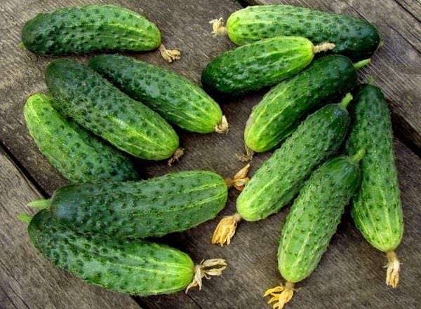 Іра F1, 50 шт, (Власне фасування з оригінального упакування), фото 1