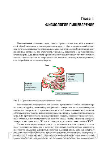 Купить Тель Л.З.Нутрициология. Учебник + CD-ROM 2022 год, цена 1800 грн ...
