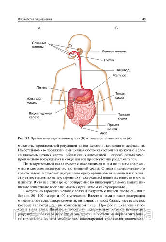 Купить Тель Л.З.Нутрициология. Учебник + CD-ROM 2022 год, цена 1800 грн ...