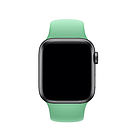 Ремінець Apple Watch Silicone 42/44 mm Spearmint (м'ятний), фото 4
