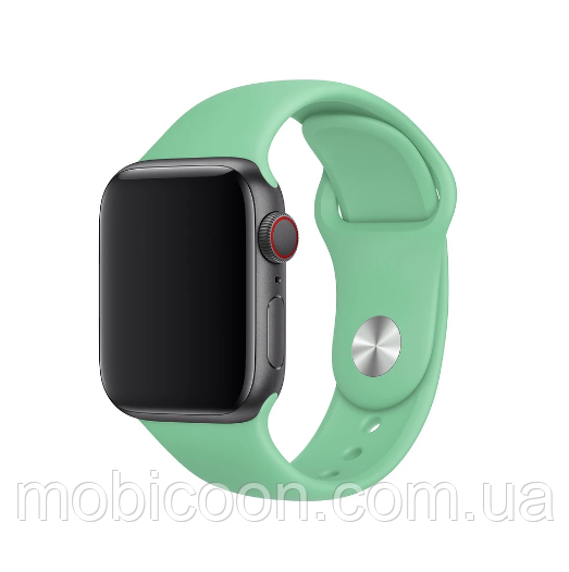 Ремінець Apple Watch Silicone 42/44 mm Spearmint (м'ятний)