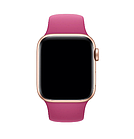Ремінець Apple Watch Silicone 42/44 mm Dragon fruit, фото 3