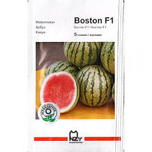 Насіння кавуна ранностиглого "Бостон" F1 (5 насінин) від Nunhems, Голандія