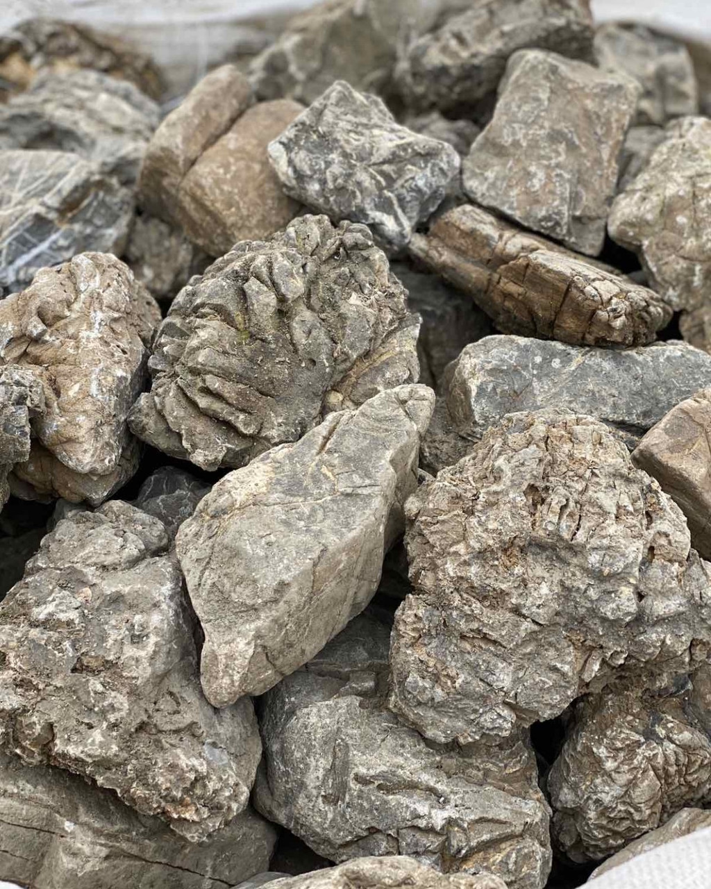 Валун закарпатський «Рельєфний» 10-30 см