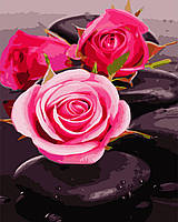 Картина за номерами "Троянди на каменях" ArtStory подарункова упаковка 40x50см AS0684