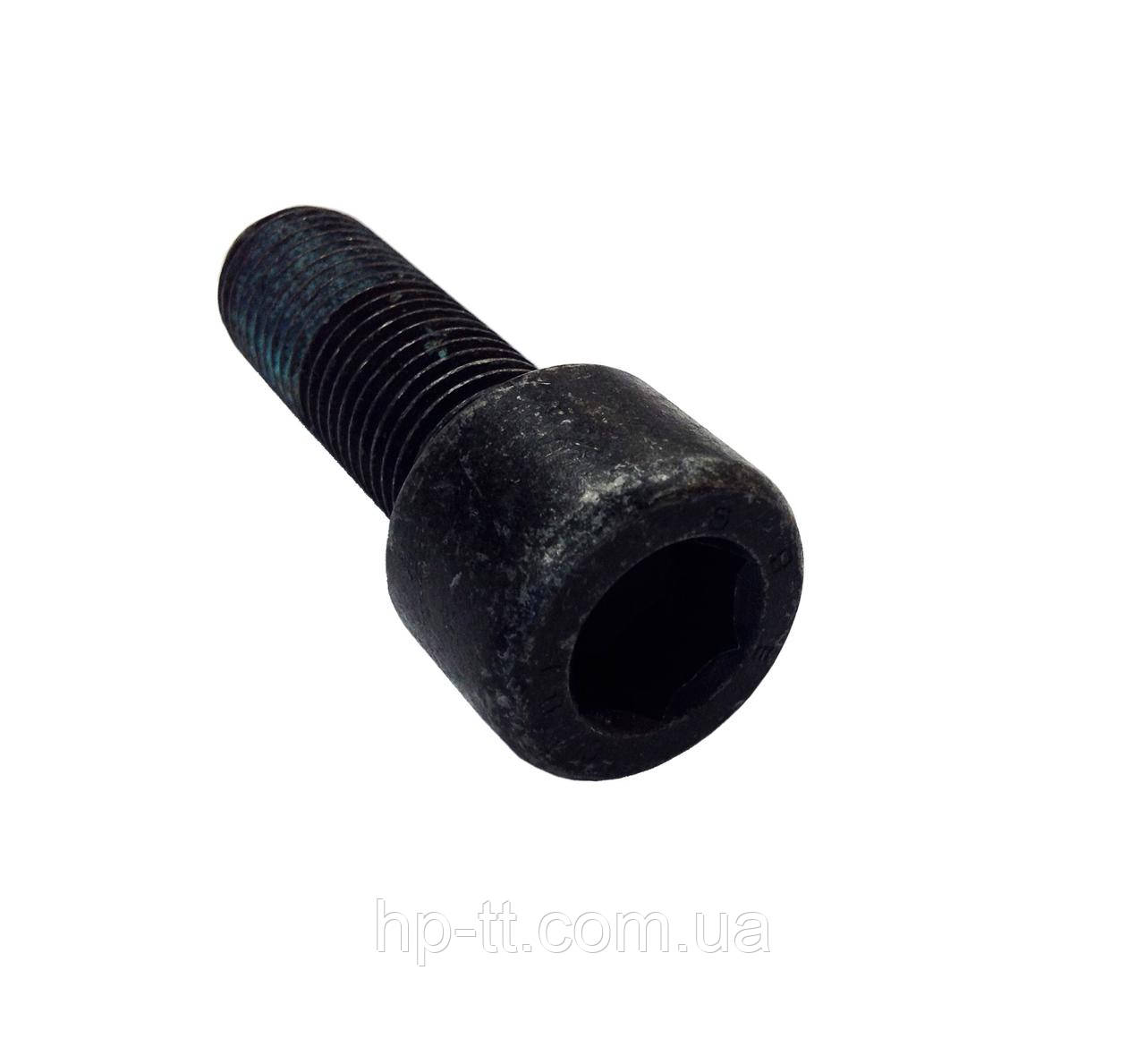 Болт кріплення цепфи AL-KO М22 706900