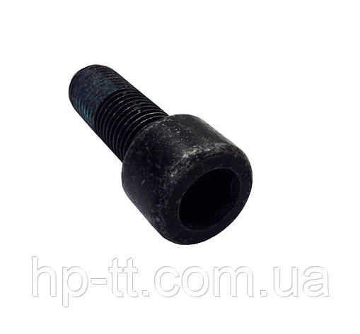 Болт кріплення цепфи AL-KO М22 706900, фото 1