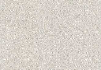 Світлі однотонні шпалери, Бежеві шпалери, Шпалери для передпокою Vinil LS Нино ВКП 3-1269 (10,05х0,53 м)