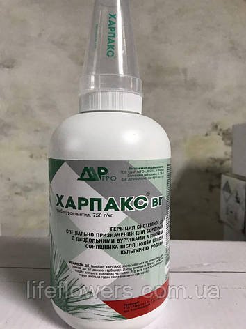 Гербіцид Харпакс (аналог експреспрес) на соняшниках, фото 1