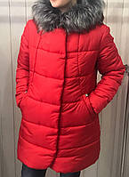 Куртка женская зимняя, модель 7, много цветов, размеры от 42 до 50