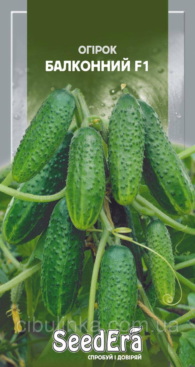 Огірок Балконний F1 (кімнатний) SeedEra 10 шт., фото 1