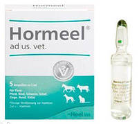 Гормель Хеель Нormeel Heel засіб для усунення гормональних розладів, 5 ампул по 5 мл
