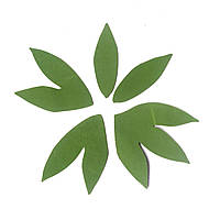 Листья пиона. Темно-зеленый 179