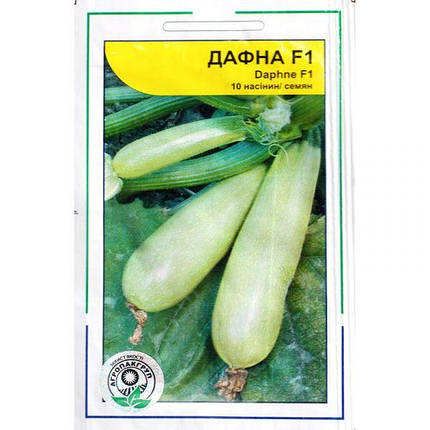 Насіння кабачка раннього, кущового "Дафна" F1 (10 насінин) від Syngenta, Голандія, фото 1