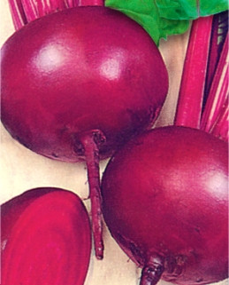 Насіння буряка Борщовий Кубанський