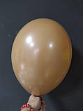 Латексна кулька пастель мокко 10 "/ 76/26 Mocha Gemar, фото 3