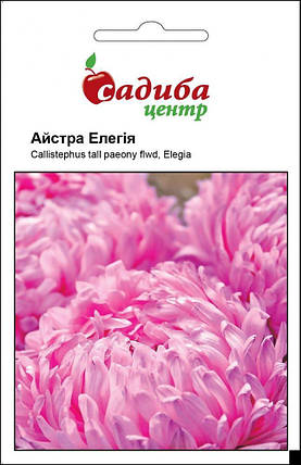Насіння квітів Астра "Елегія" насичене рожевим, однорічним, 5 г, "Хем Заден", Нідерланди., фото 2