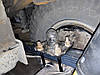 Комплект драбини (U-болтів) IronMan для Ford Ranger 2006-2012 (4 шт.), фото 5