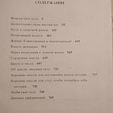 Повна енциклопедія здоров'я Луїзи Хей, фото 6