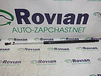 Амортизатор крышки багажника (Мінівен) Citroen BERLINGO 1 2002-2009 (Ситроен Берлинго), 9625574380 (БУ-175291)