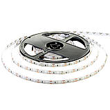 Led стрічка світлодіодна 12 В синя smd2835 120LED/m IP20 (лід стрічки), фото 3