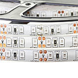 Led стрічка світлодіодна 12 В синя smd2835 120LED/m IP20 (лід стрічки), фото 4