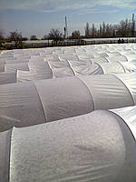 Агроволокно біле "Premium Agro" Р-50 (6,35*10)