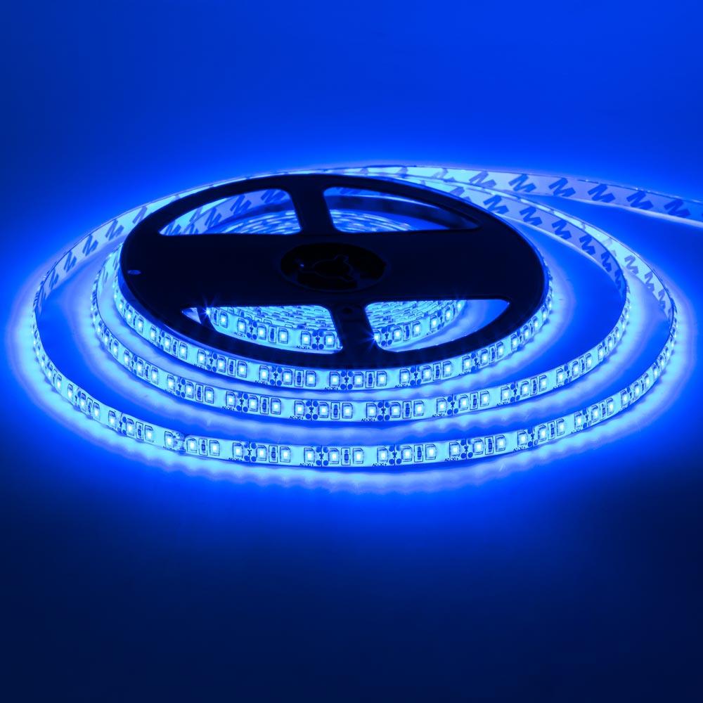 Led стрічка світлодіодна 12 В синя smd2835 120LED/m IP65 (лід стрічка)