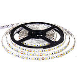 Led стрічка світлодіодна 12 В біла smd5050 60 LED/m IP20 (лед стрічка, діодна стрічка), фото 3