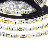 Led-стрічка світлодіодна 12 В біла smd5050 60 LED/m IP65 (лед стрічка), фото 4